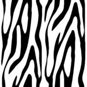 Zebra Print Image - Zebra Print, Transparent background PNG HD thumbnail