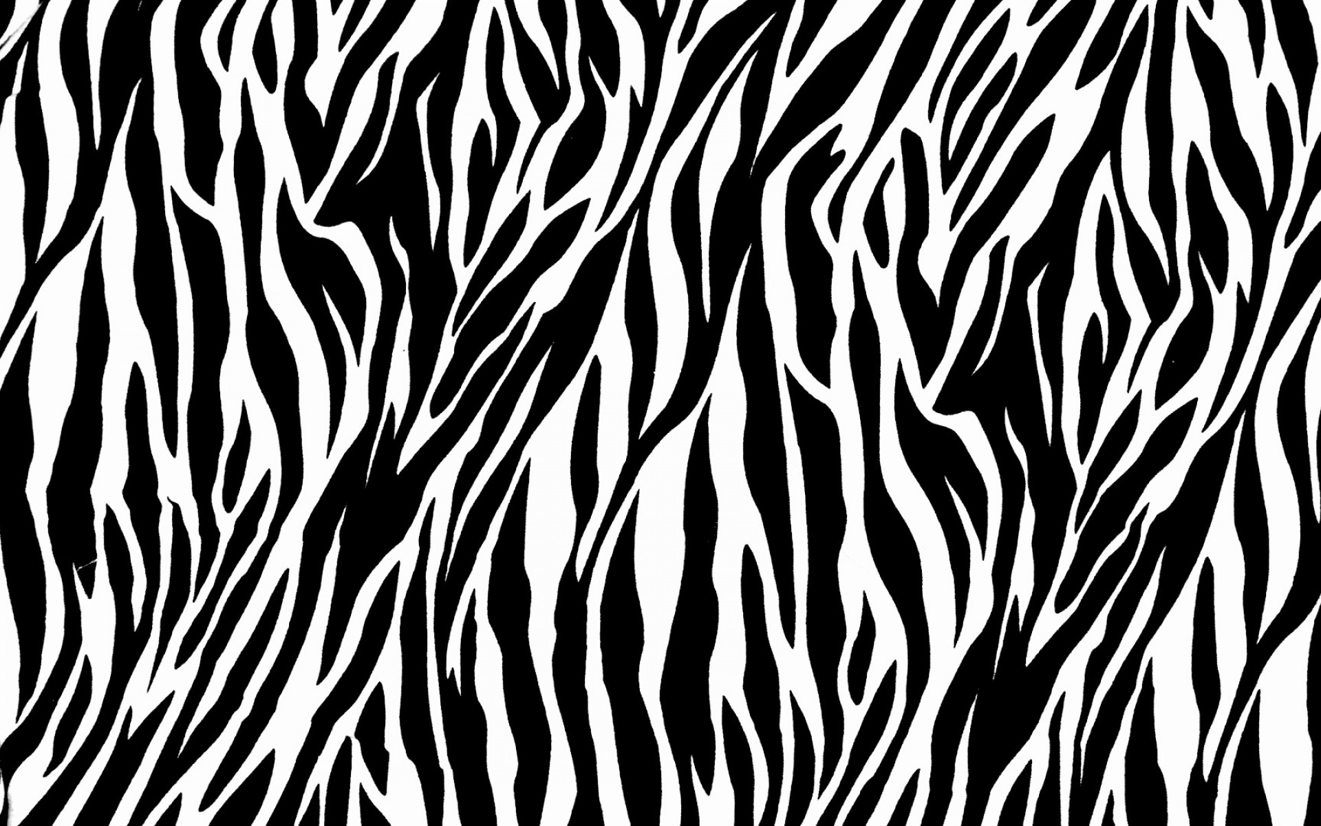 Zebra Print Wallpaper Collection (43 ) - Zebra Print, Transparent background PNG HD thumbnail