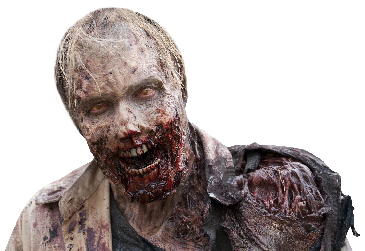 Zombie PNG Transparent Image, Zombie PNG - Free PNG
